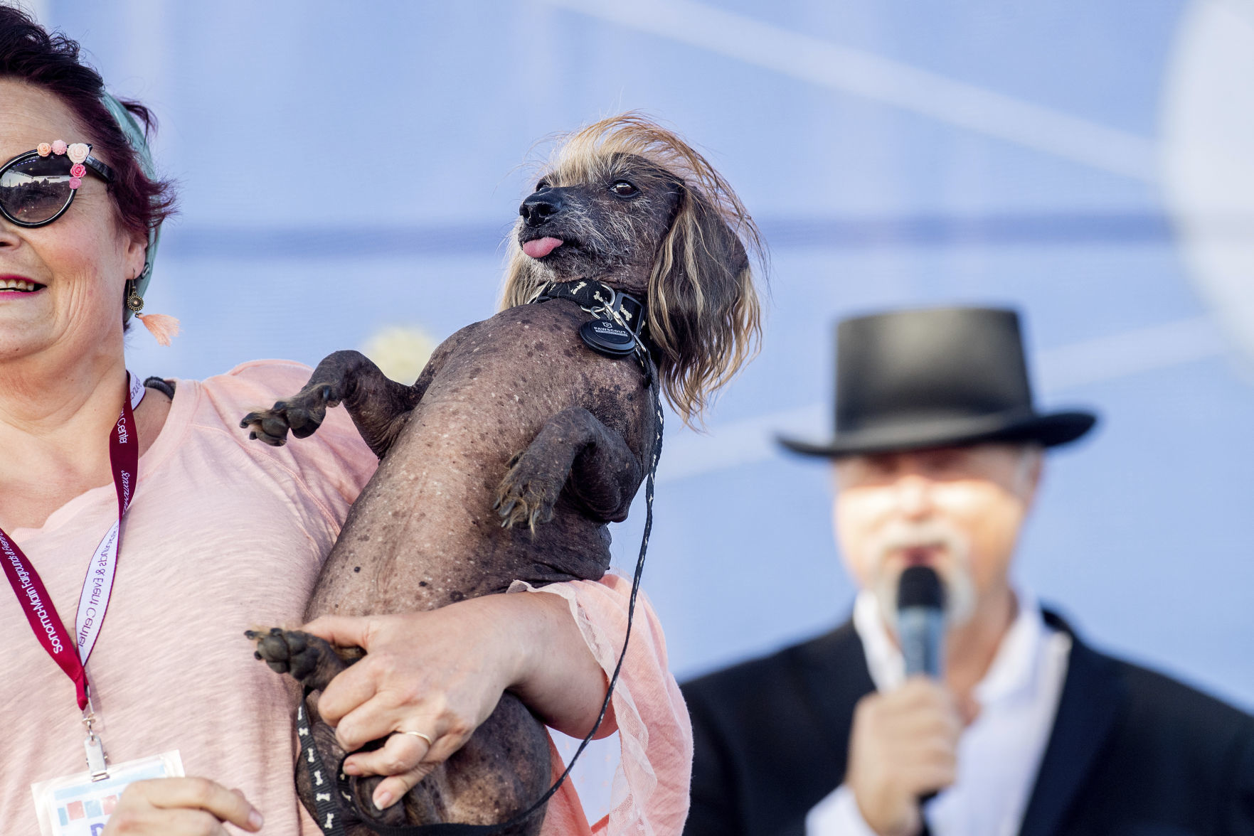 World's Ugliest Dog